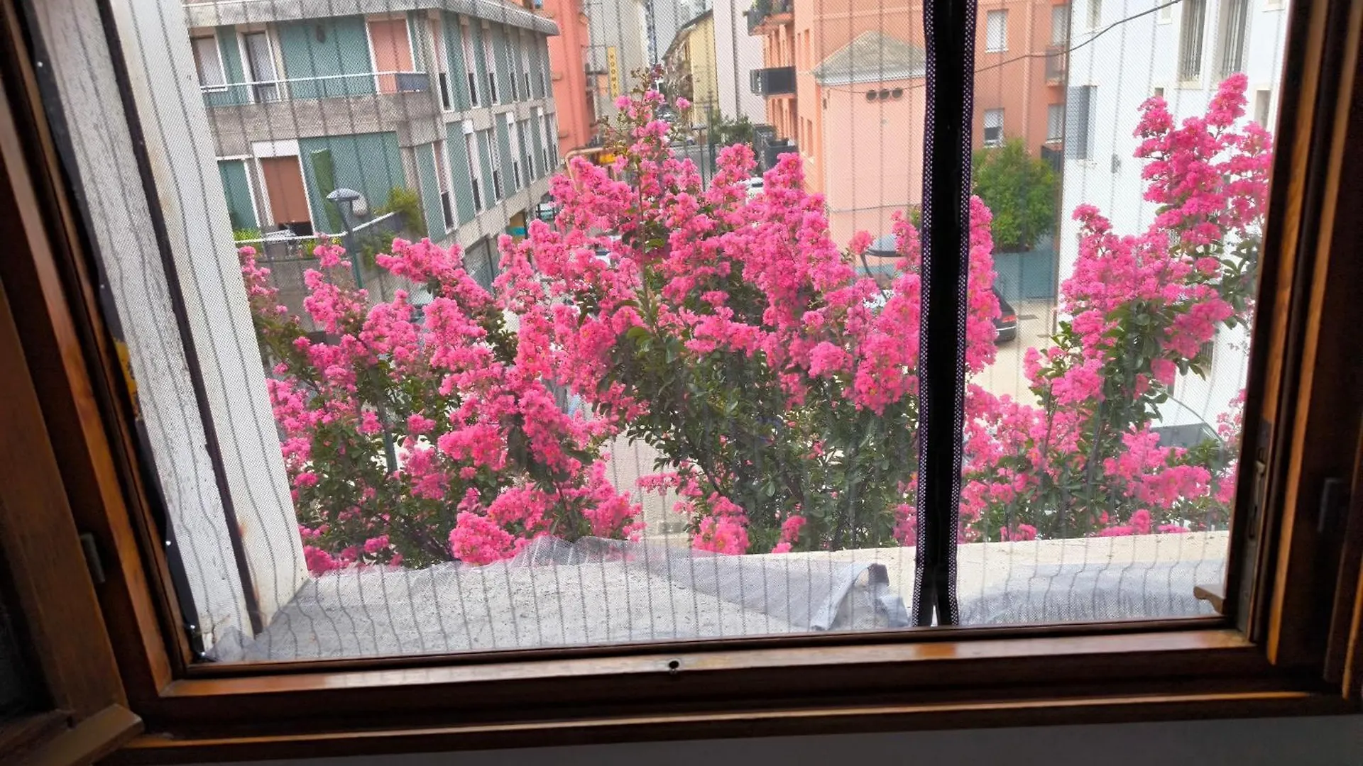 Gioia Apartment Mestre Homestay
